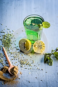 Fennel,variyali or Foeniculum vulgare juice/shrbat with sliced lemons,Citrus ÃÆÃâÃÂ¢Ã¢âÂ¬Ã¢â¬Â limon photo
